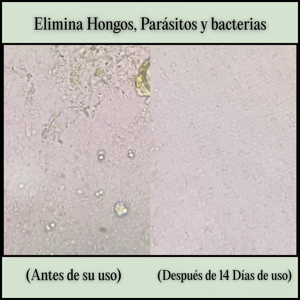 Alimora OregaMix: Aceite de Orégano Medicinal